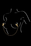 Chaine et pinces à seins Sweet Caress Chaine et pinces à seins Sweet Caress