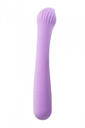 Vibro rechargeable Passionmania violet – FairyGasm