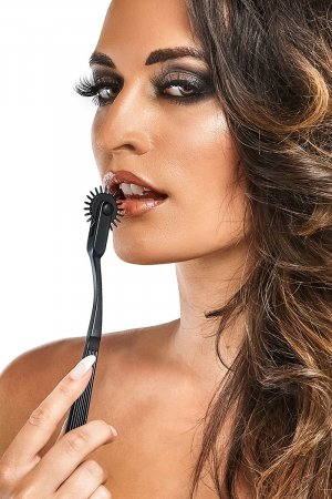 Roulette de Wartenberg en aluminium – Bedroom Fantasies